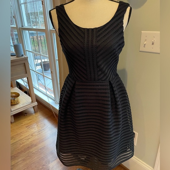 Everly Black Dress with Lace Pattern and Gold Zipper in Back Lined Size Small - Picture 1 of 16